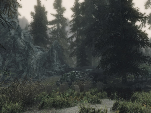 tumblr photo dudebronews 0