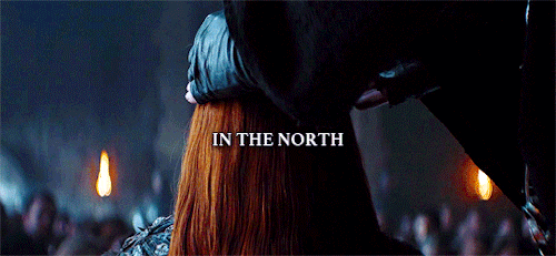 shialablunt:Ned Stark’s daughter will speak for The North. She’s the best they could ask for.