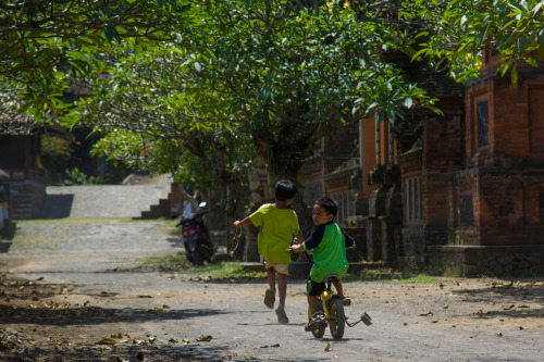 Village Life, Bali, Indonesia