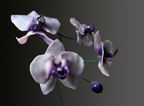 archiemcphee:  These stunning carnivorous plants and orchids require neither water, sunlight or insects in order to thrive. Instead they just new a gentle going over with feather duster every once in a while. That’s because they’re weren’t grown,