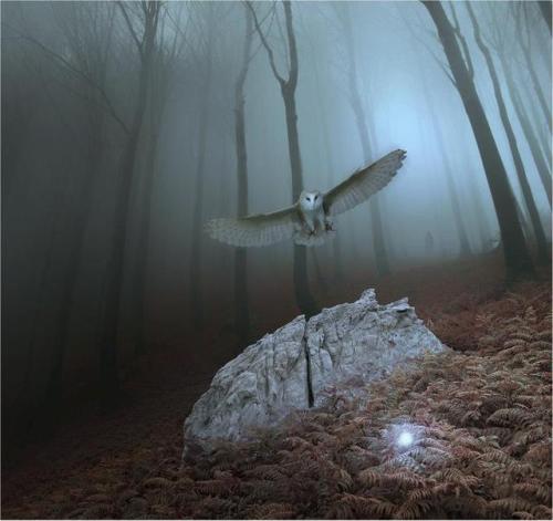 Michał Klimczak