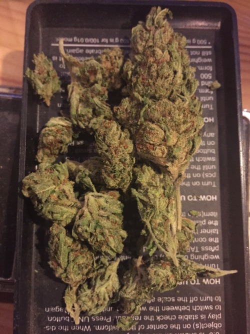 💜❤️‍🔥💜