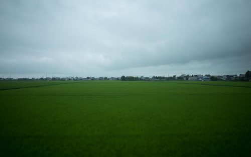 araiwatal:  SCENERY SEEN FROM A TRAIN WINDOW   THE NORTHEASTERN AREA車窓 東北 #69Ou Main Line 奥羽本線Hachirogata 八郎潟 https://plus.google.com/b/105927364264306621006/collections 