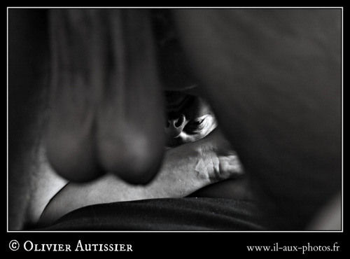 ilauxphotos:  Didier - 46 Avril 2015 L’il aux photos