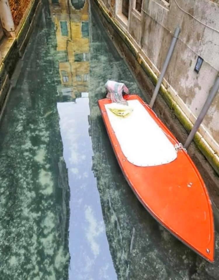 you-are-another-me:Crystal clear water in Venice was seen flowing for the first time due to a drastic decrease in pollution because of the Nationwide Coronavirus quarantine that was enacted in Italy.Never in the last 60 years has water been seen so clear