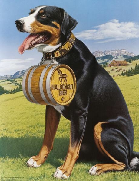 Jack J. Kunz, illustration for beer with the typical St. Bernard, 1976. Brewery Haldengut, Switzerla