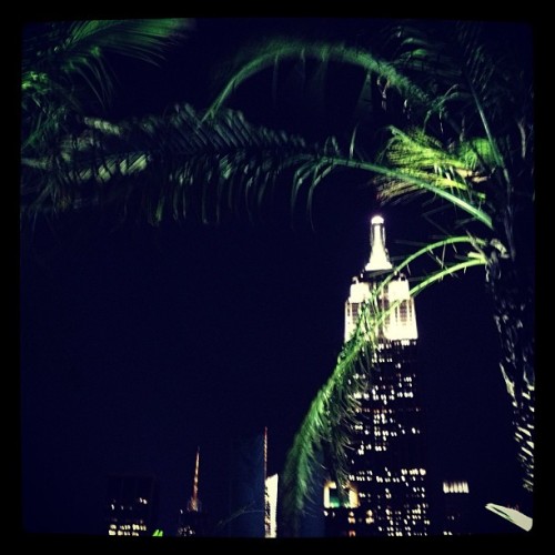 New York the lovely. #latergram #rooftop #girlsnightout #empirestate #nyc (at 230 Fifth Rooftop Loun