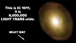 spaceexp:  The largest galaxy ever found compared to our galaxy !! via reddit