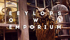 ohsofili:  diagon alley + shops. 