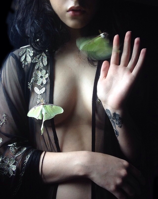 roserust: Actias luna, in leaving.