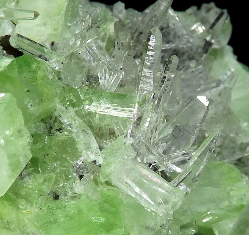 Augelite and Quartz - Tamboras Mine, Mundo Nuevo, Huamachuco, Libertad Department, Peru