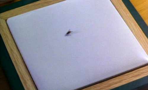 Serial Mom