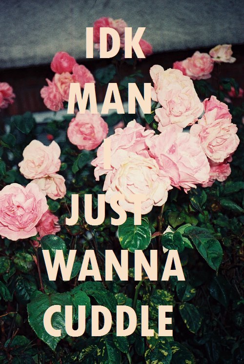 perks-of-being-a-wallflowerrr:  ohaithereyou:  anyone down to cuddle right now? 