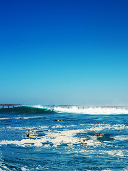 surf4living:  newport ph: corey wilson