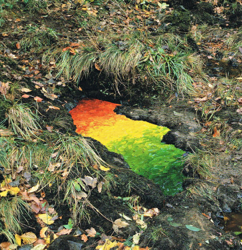 roachpatrol:katjohnadams:art-tension:Magical Land Art By Andy Goldsworthy                           