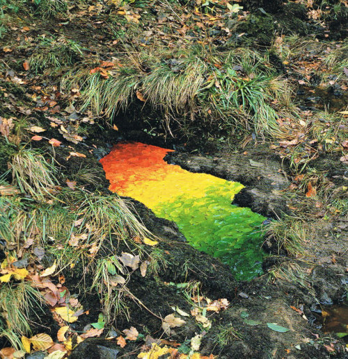 landscape-photo-graphy: Artist’s Temporary Decaying Art Brings Enchantment To The Forest Briti