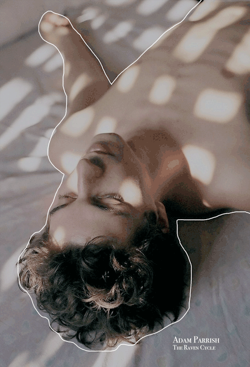 parrishi:The most important thing to Adam Parrish, though, had always been free will, the ability to