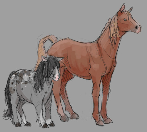Speaking of going off into the weeds, a comment about horse anatomy means it’s time to draw oc