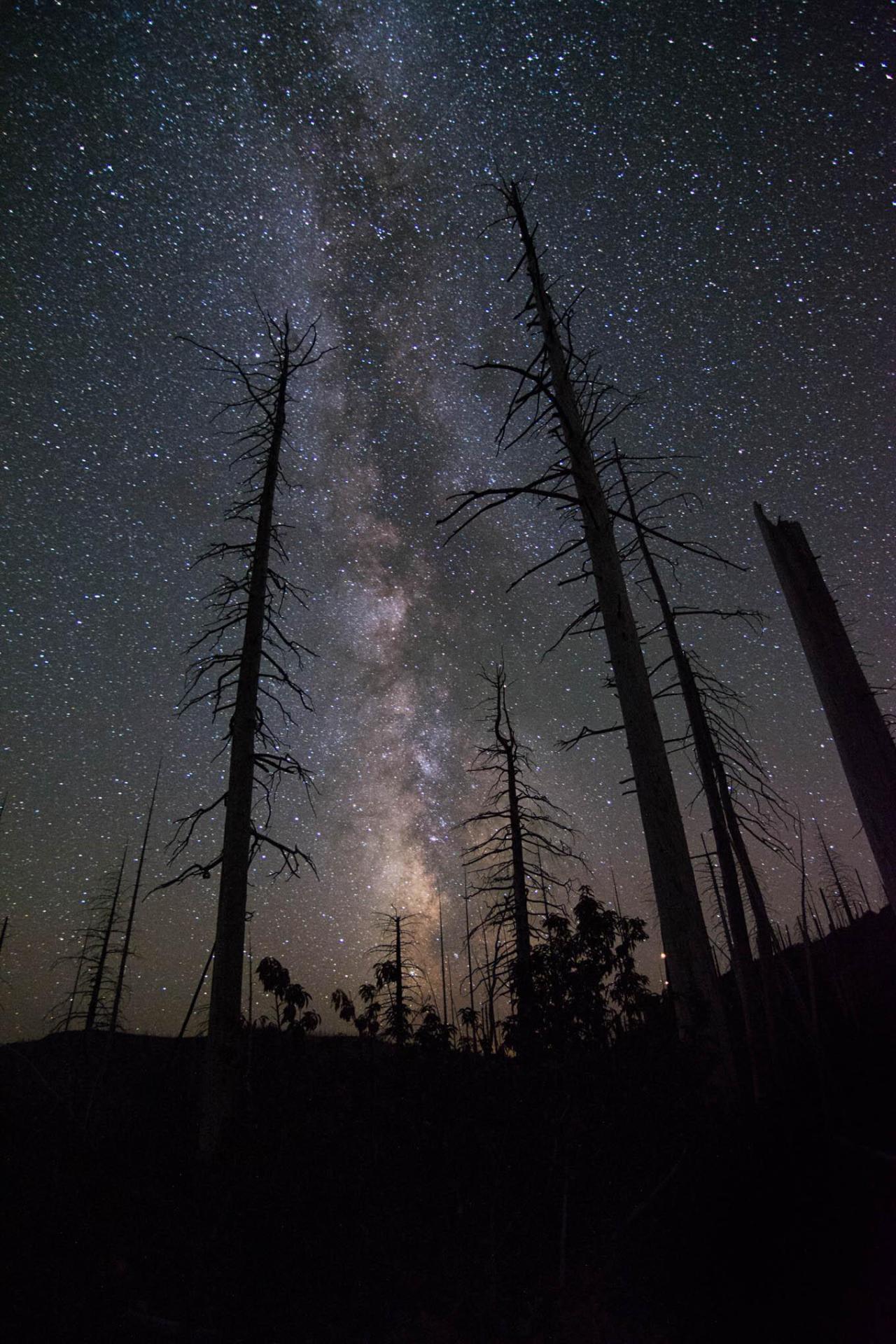 just&ndash;space:js