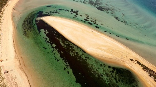 nevver:Drones over Oz, Cameron Puglisi