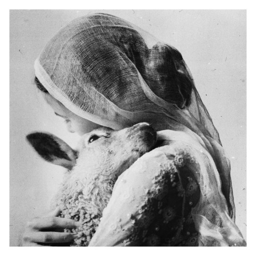 Laura Makabresku 
