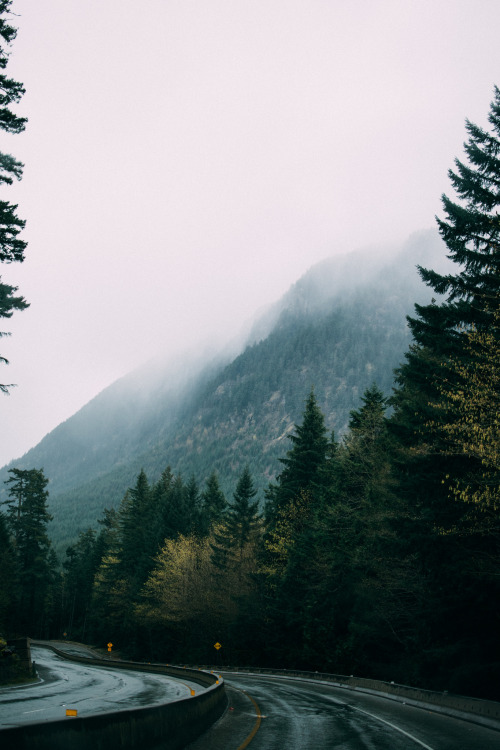 moody-nature:  Untitled | By MdClerambault adult photos