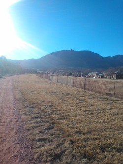 It&Amp;Rsquo;S Absolutely Gorgeous Todayi Walked Both The Dogs Separately For 45