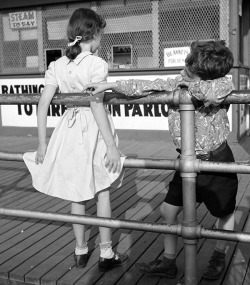 poboh:  Puppy Love, Coney Island, 1951, 