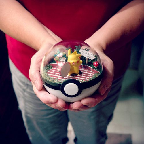 culturenlifestyle: Ingenious Pokéball Terrariums  Texas based artist Lauren from The Vintage Realm takes pride in being a 90s kid. Inspired by vintage Pokémon, which was one of her childhood passions, she created a collection of Poke terrarium. Plucking