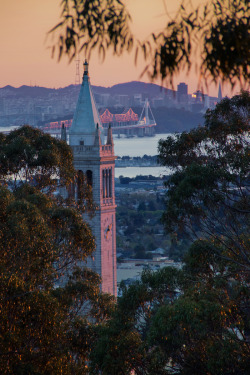 piavalesca:  the campanile