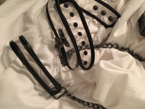 brattyprincesssub:  Okay, so here is what the collar looks like (no worries, this is the first one, not the one I’m selling).  It’s a :  -transparent collar with black lining -featuring black nickel-free hardware -VERY sturdy -heavy chain -clip-on