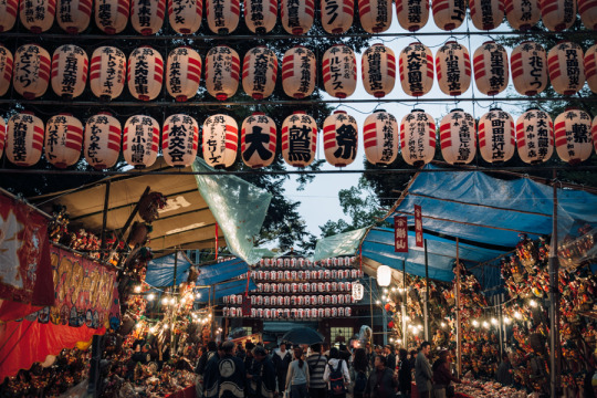 大鷲祭 2015年、大國魂神社。 浅草と花園神社以外の酉の市はその二つと比べると規模は小さかったので、先の二箇所とならんで関東三大酉の市のひとつとも知られている大國魂神社は同じような賑わいを期待していた。...