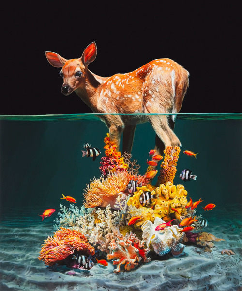 itscolossal: Animals Evolve into Islands Teeming With Coral, Succulents, and Tropical Fish in Hyperr