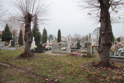 yoda-ii: The parish cemetery in URAZ  /Lower