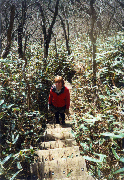Two Weeks Ago I Went Hiking With Friends At Mt. Kirishima (), A Mountain Range In Southern Kyushu. During