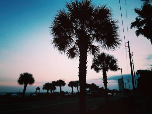 Sunsets & Palm Trees. | #vsco #neverstopexploring #pcb #panamacitybeach #liveauthentic #sunsets 