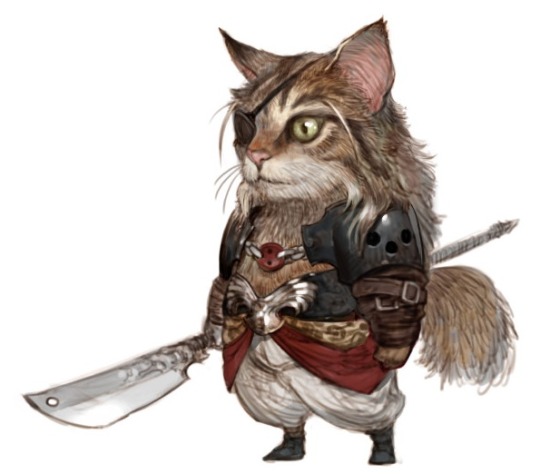 huntiesofhyrule:  gemstonechronologist:  monkeysaysficus:  knightofleo:   American Shorthair Knight Abyssinian Bard Norwegian Forest Cat Shaman Persian Scholar Bombay Assassin Sphynx Fighter Scottish Fold Warrior Bengal Archer Turkish Angora Healer Maine