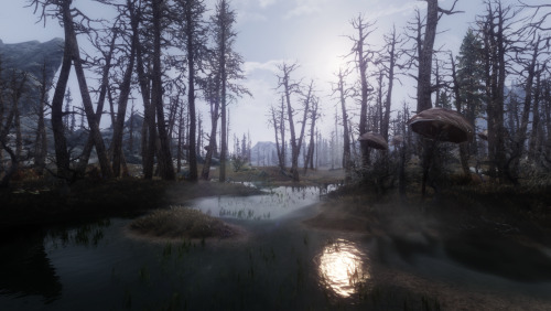 aceeq-modding: Dark Fantasy Overhaul 0.9.2 Relased!I’ve released version 0.9.2 on Nexus. Get i