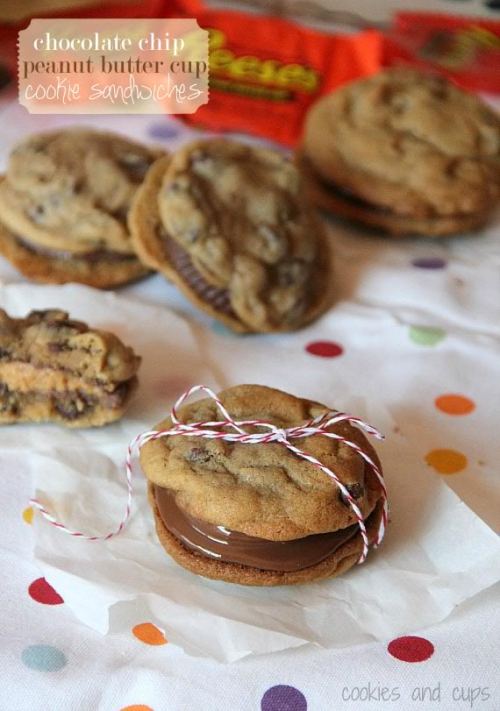 omnipotent-pie: flame-us: phoenixrising2013: vvidget: THE BEST COOKIE RECIPES :D The Brownie Cookie 