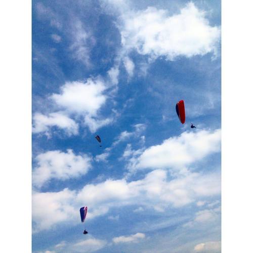 #paragliding (helyszín: Csolnok - Mókus-hegy Paragliding Launchplace)