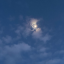 bluerbubblesonline
