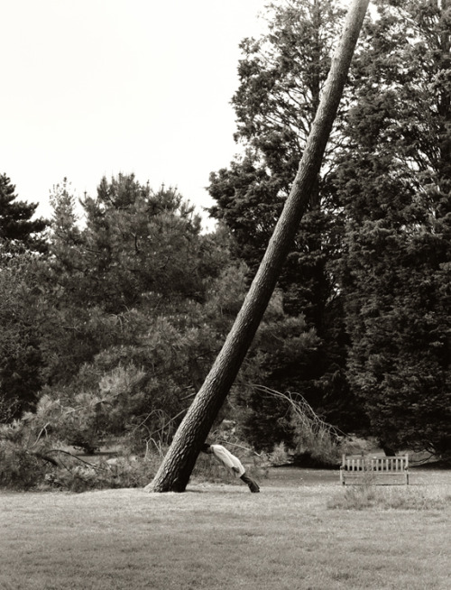 joeinct:  Tree Intervention, Photo by Stephane Graff  