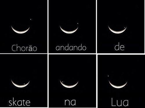 observar e absorver