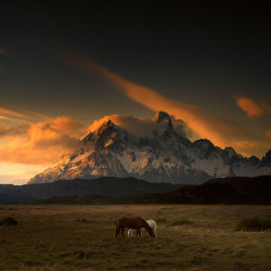 chocolate-and-irony: Patagonia 