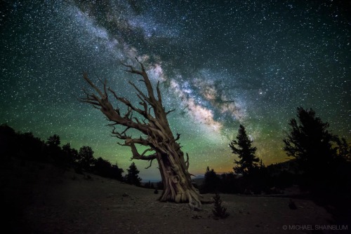 just&ndash;space:Guardian Of The Night. The Milky Way above the White Mountains of California. P
