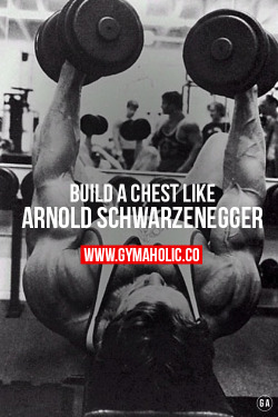 gymaaholic:  Build that strong chest like