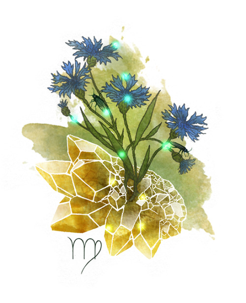VIRGO firefly constellation - Cornflowers and citrine crystals seemed like the right fit