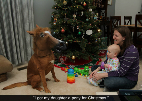 the funniest post