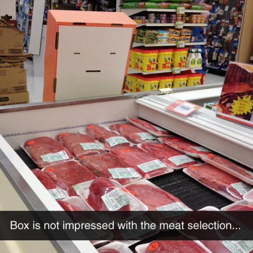 srsfunny:  Box Is Not Impressedhttp://srsfunny.tumblr.com/ 