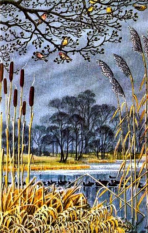 “What to look for in winter” - Ladybird series. 1960s.